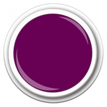 FF Farbgel / Colorgel 5gr. FG69 Violett